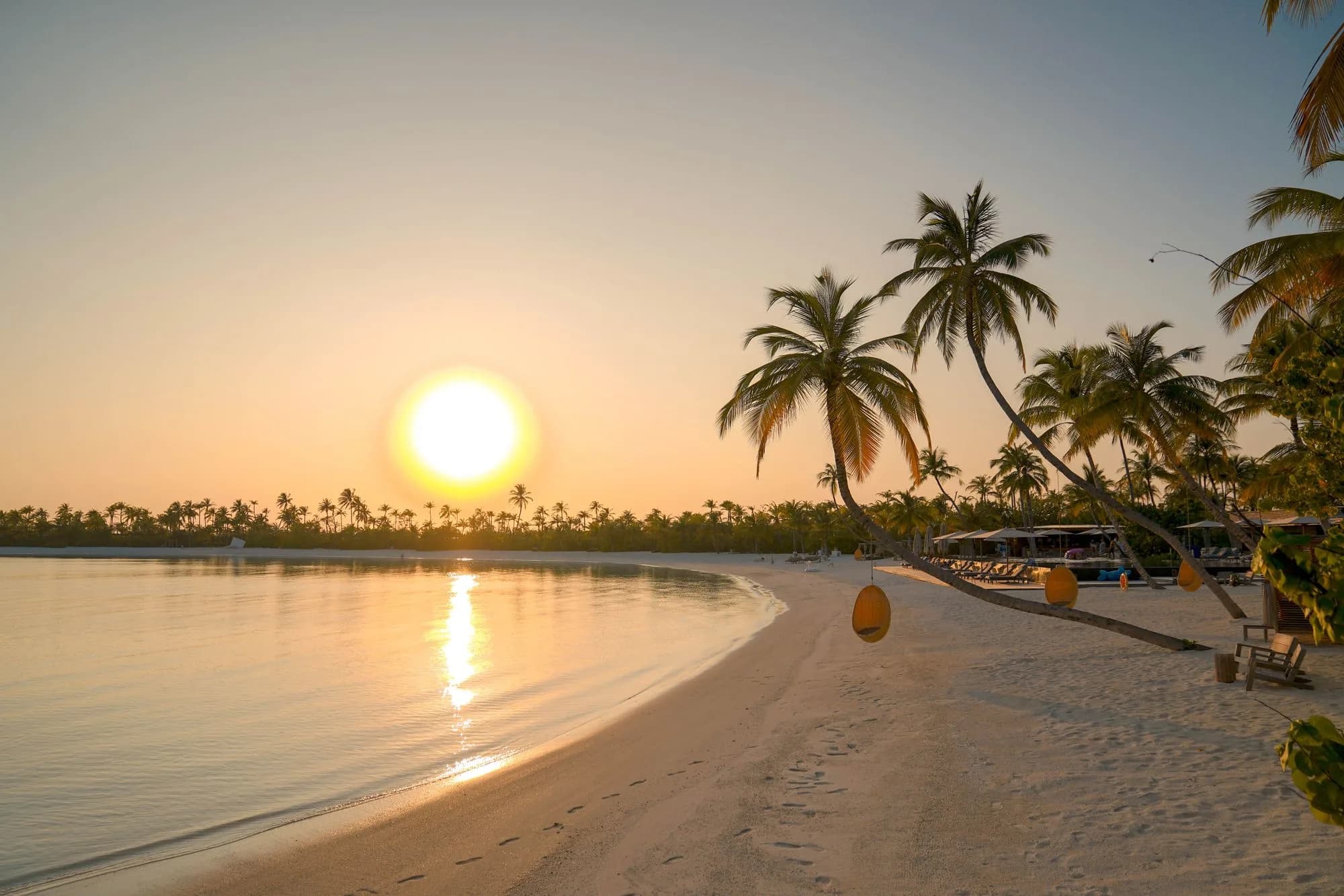Palm trees and a calm bay at sunset in the Caribbean