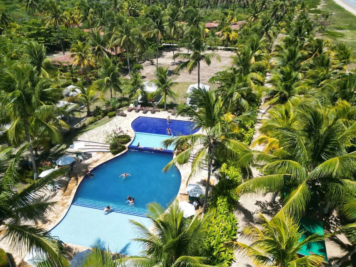 Aerial view of resort pools set among palms